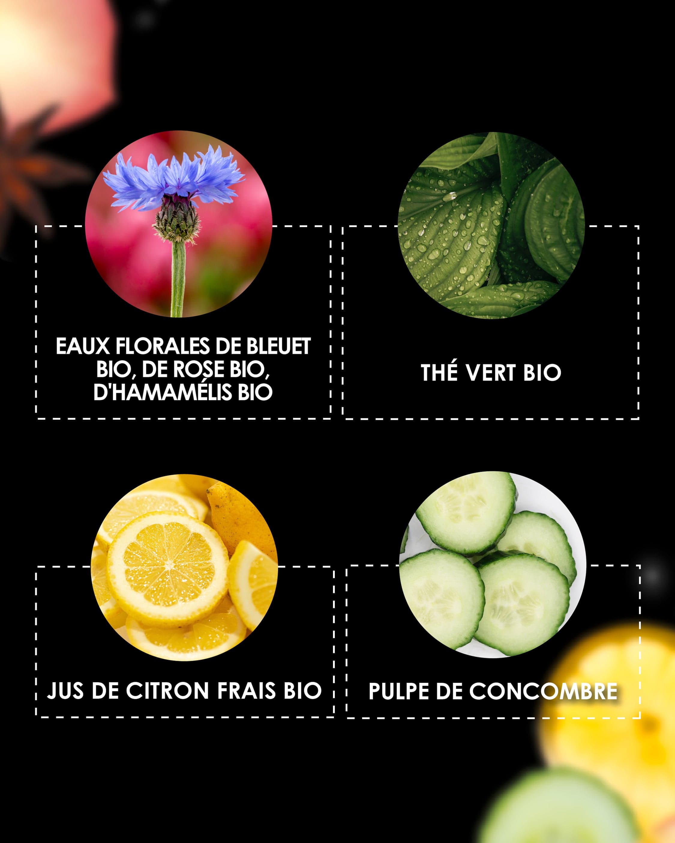 Zoom sur les ingrédients naturels du Pschitt Magique Visage de Garancia : eaux florales de bleuet bio, rose bio et hamamélis bio, thé vert bio, jus de citron frais bio et pulpe de concombre.
