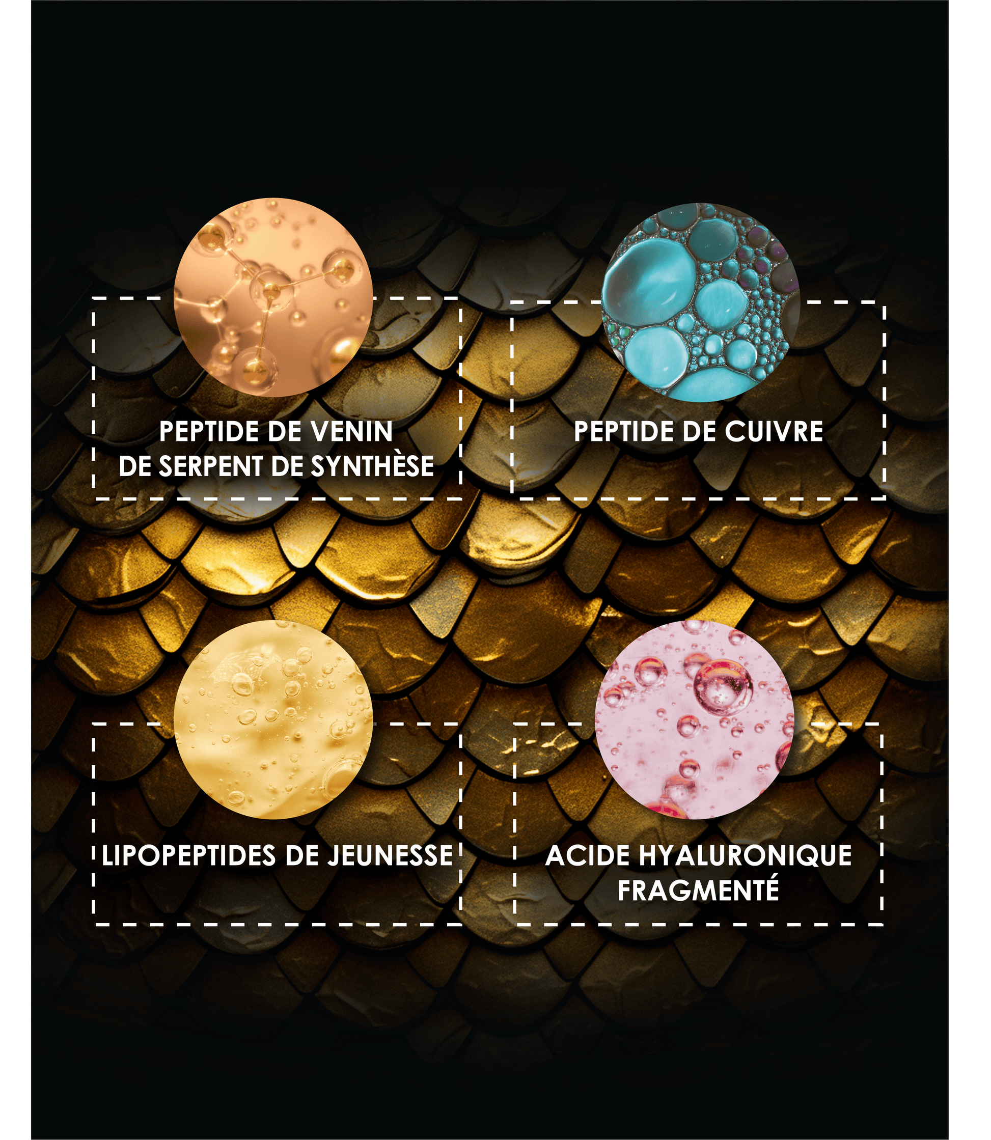 Laboratoire Garancia Anti-Âge & Anti-Rides [ MYSTÉRIEUX Mille et Un Jours ] Actifs anti-âge de pointe du soin Garancia Mystérieux : Peptide de venin de serpent de synthèse, Peptide de cuivre, Lipopeptides de jeunesse et Acide Hyaluronique fragmenté.