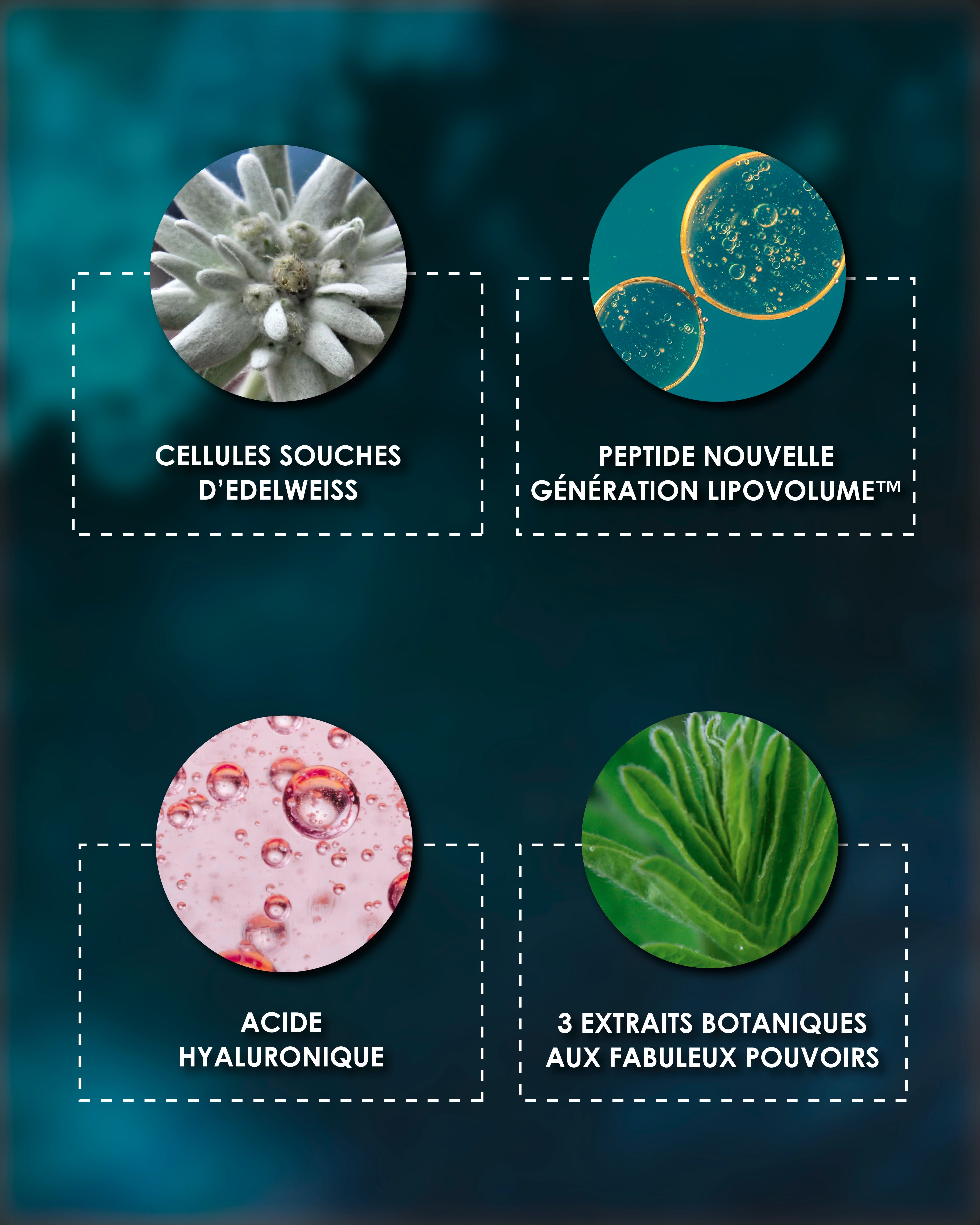 Laboratoire Garancia Anti-Âge & Anti-Rides [ ÉTOILE du jour ] - Éco-Recharge : Liste des ingrédients actifs Garancia Étoile du Jour : Edelweiss, Peptide breveté Lipovolume, Acide Hyaluronique et extraits botaniques pour une action anti-âge et volumatrice.