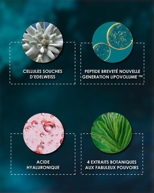 Laboratoire Garancia Anti-Âge & Anti-Rides [ ÉTOILE du jour ] - Éco-Recharge : Liste des ingrédients actifs Garancia Étoile du Jour : Edelweiss, Peptide breveté Lipovolume, Acide Hyaluronique et extraits botaniques pour une action anti-âge et volumatrice.