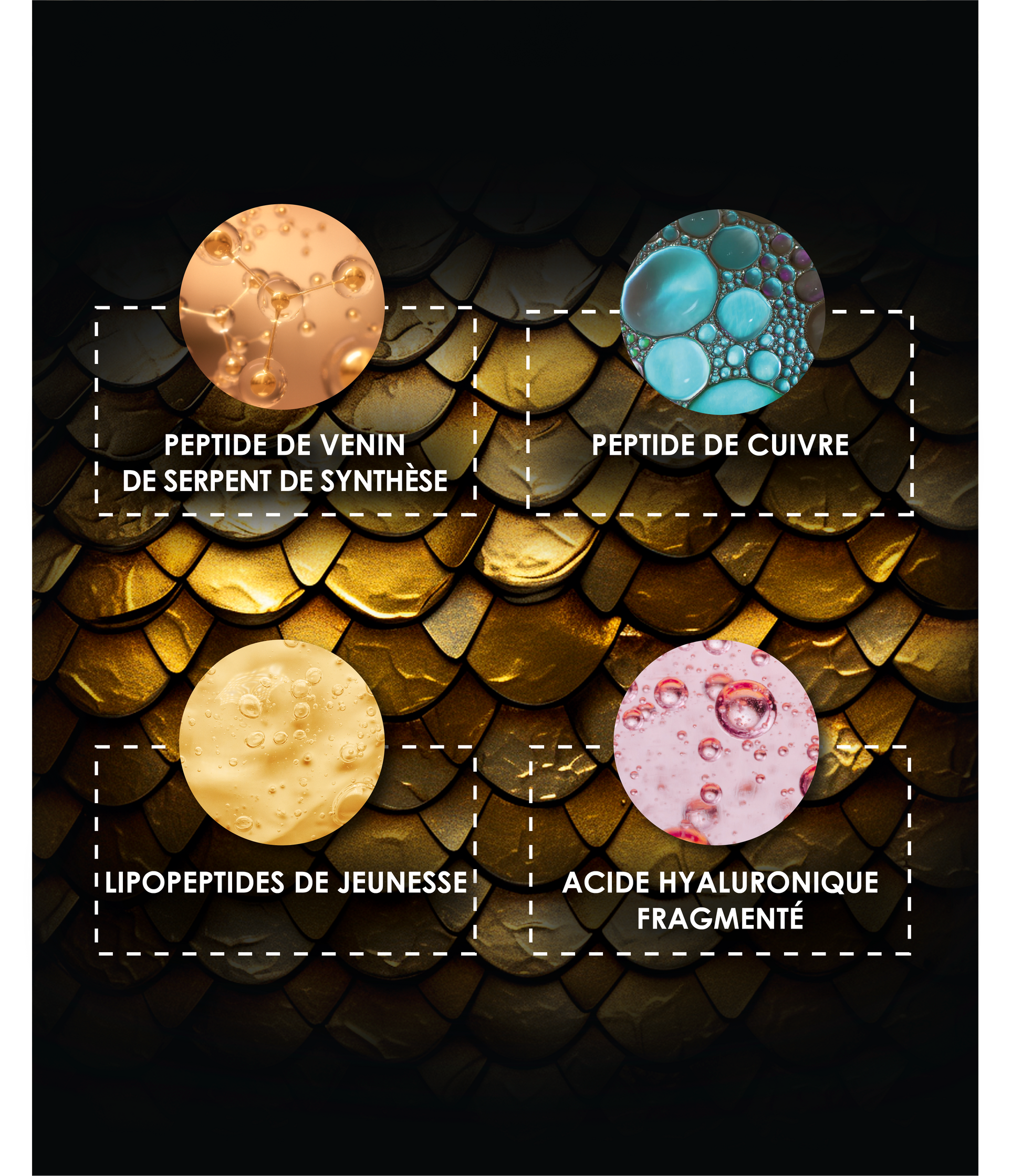 Bulles illustrant les ingrédients actifs sur fond d'écailles dorées : peptides de venin de serpent, cuivre et acide hyaluronique