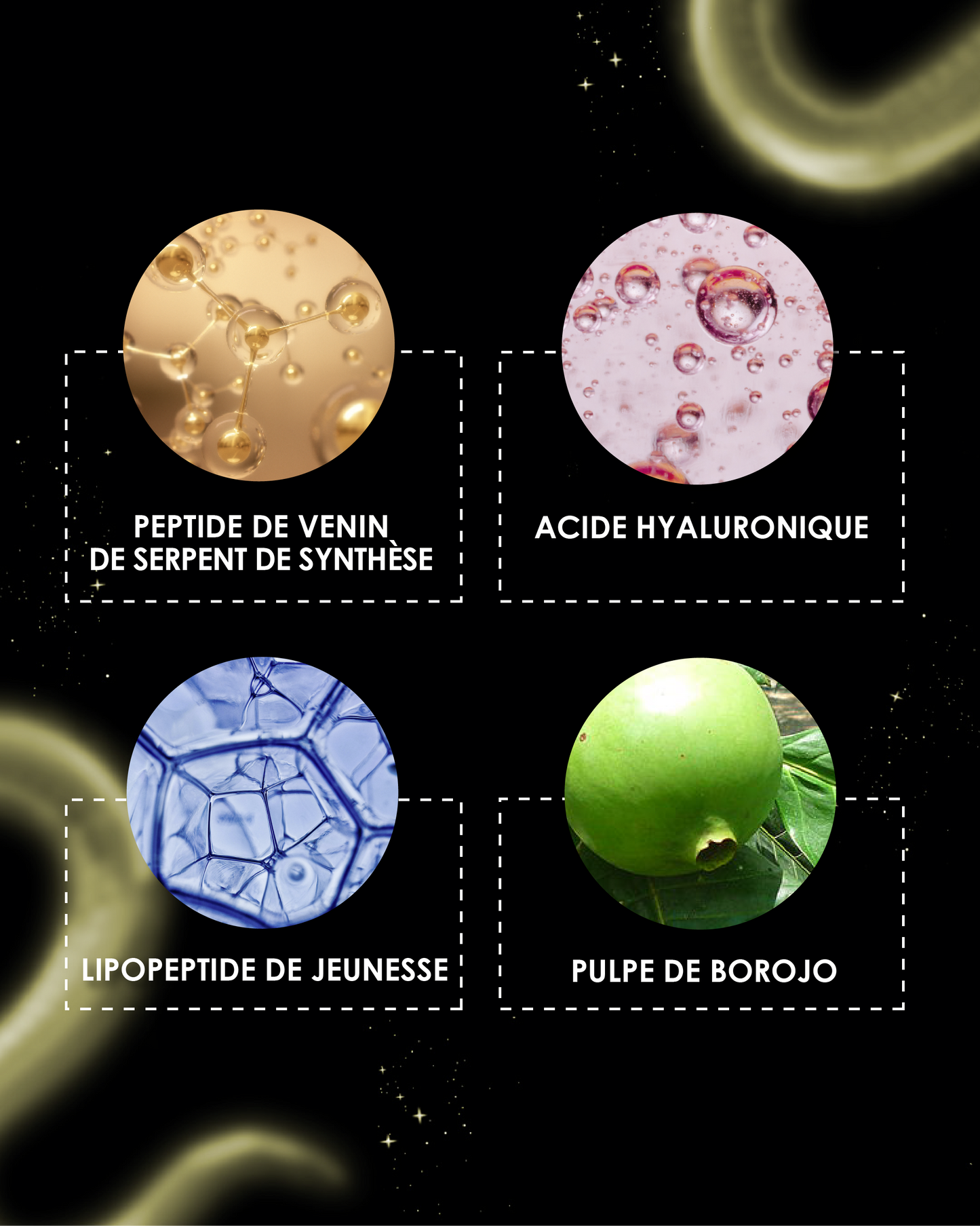 Les 4 actifs clés de la crème de nuit Garancia : Peptide de venin de serpent, Acide hyaluronique, Lipopeptide de jeunesse et Pulpe de Borojo