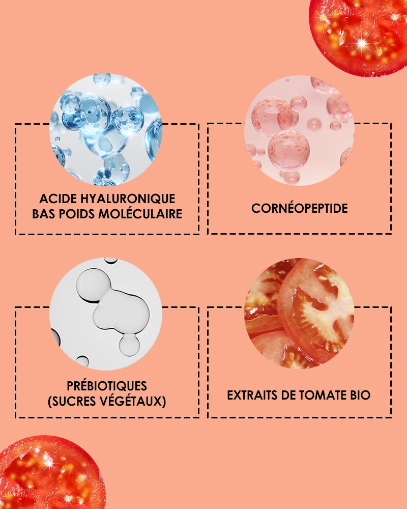 présentation des 4 ingrédients principaux du produit : acide hyaluronique, cornéopeptide, prébiotiques, tomate bio