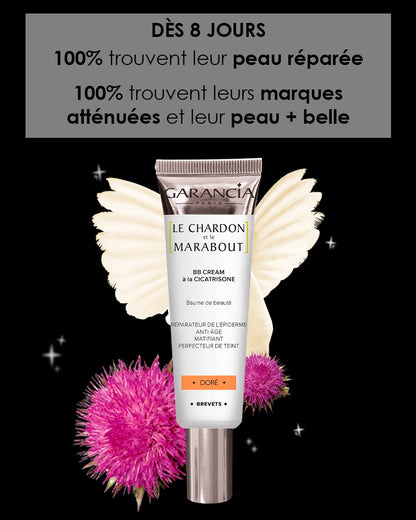 Le Chardon et le Marabout