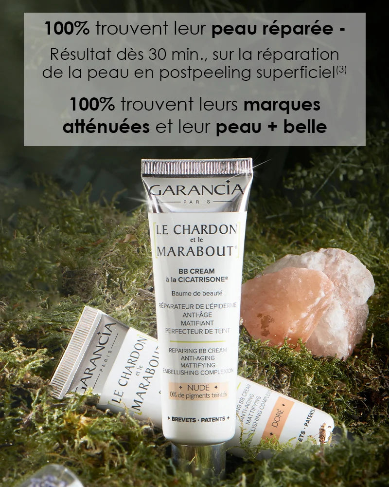 Le Chardon et le Marabout