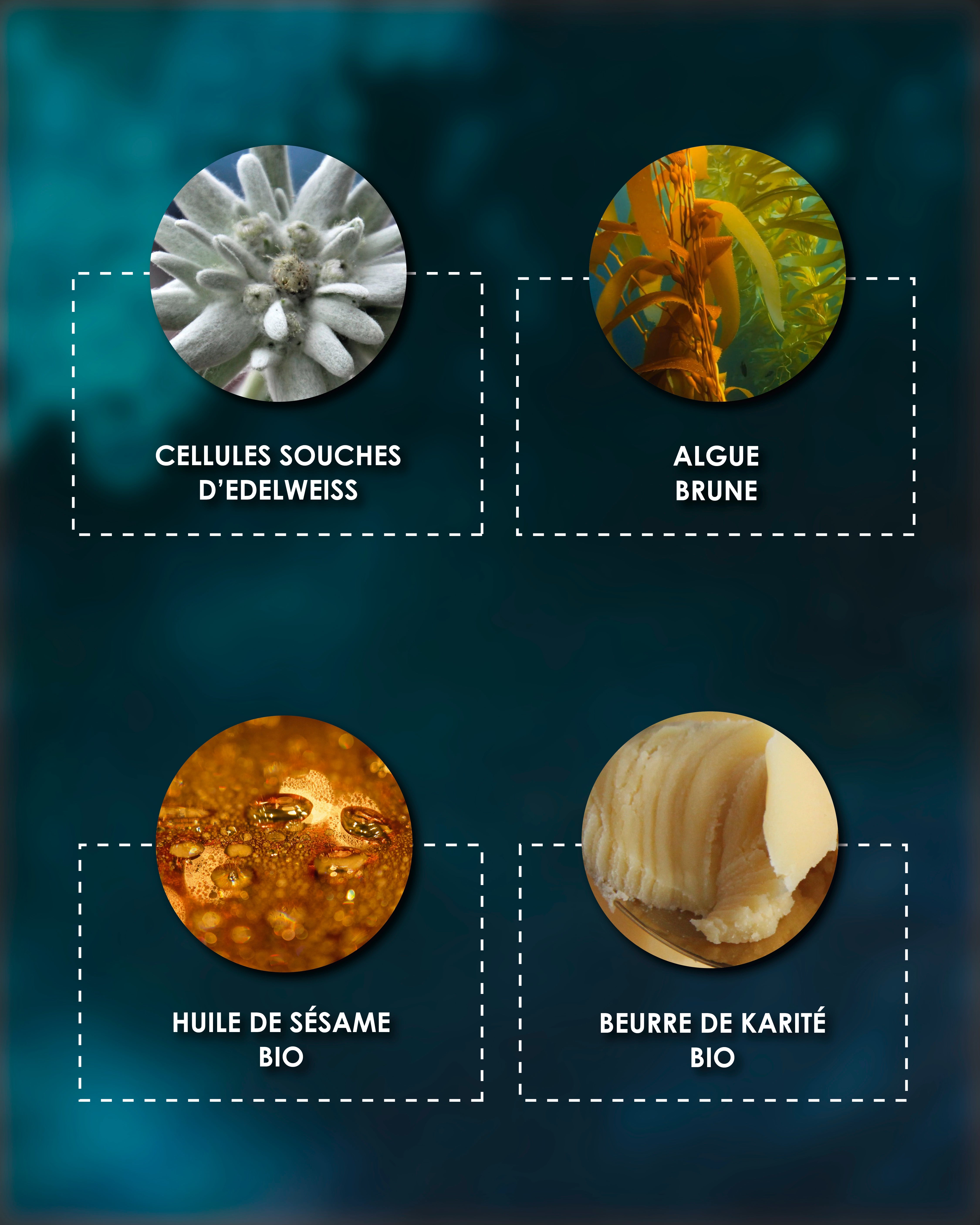Étoile du Jour - Crème riche rose suprême volumatrice