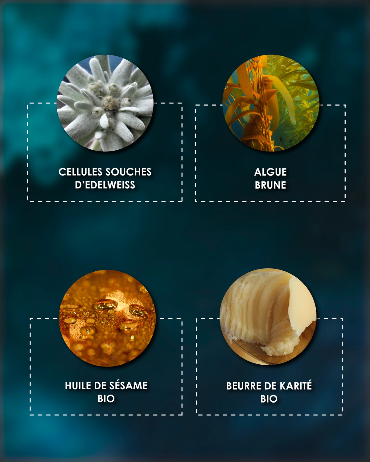 Étoile du Jour - Crème riche rose suprême volumatrice