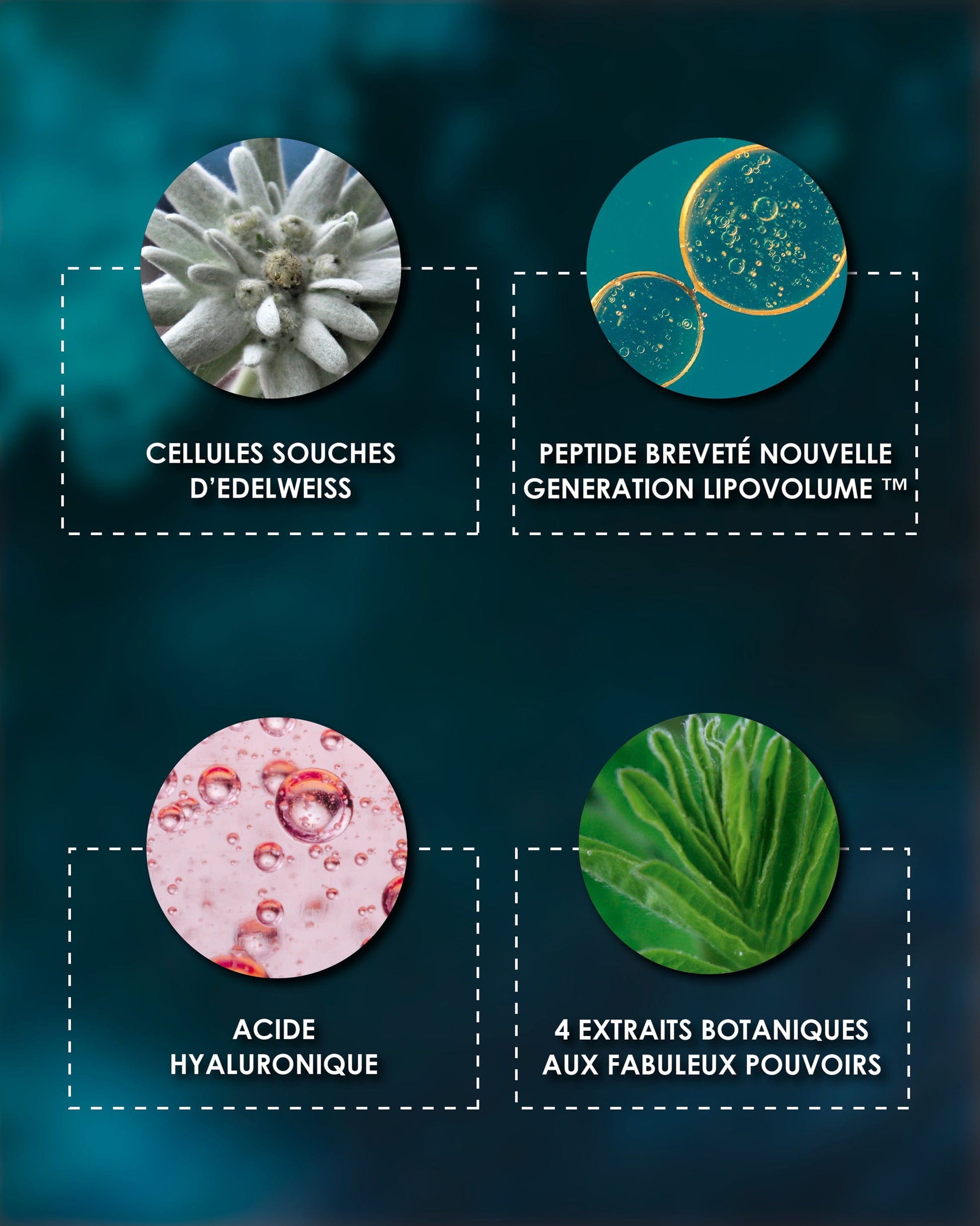 Laboratoire Garancia Soin de la peau [ À la belle ÉTOILE ] - Éco recharge : Infographie Garancia présentant 4 ingrédients clés : cellules souches d'Edelweiss, peptide breveté Lipovolume nouvelle génération, acide hyaluronique et 4 extraits botaniques aux fabuleux pouvoirs.