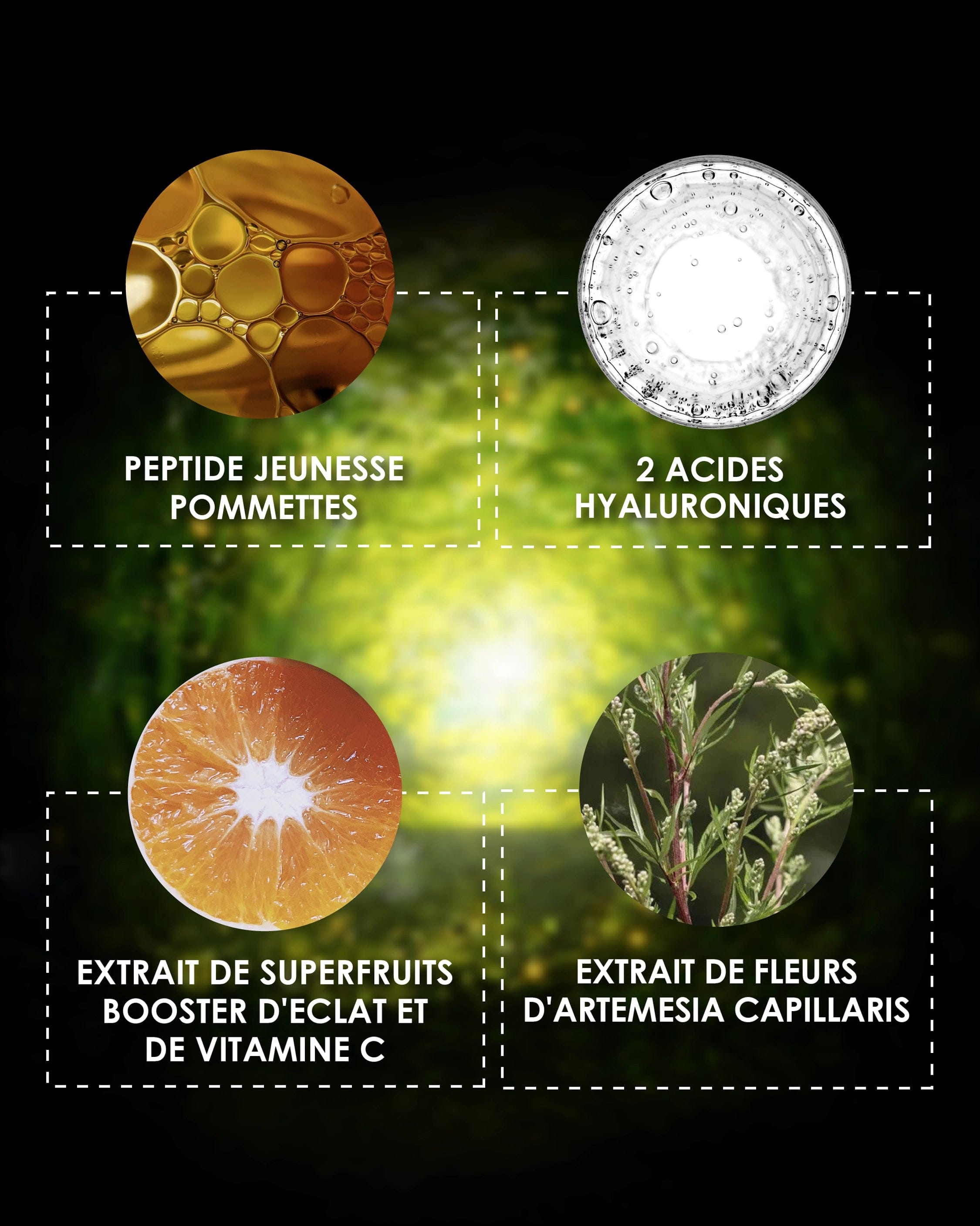 Laboratoire Garancia Sérum [ L'APPEL de la FORÊT ] SÉRUM DOUBLE PHASE presentation des 4 ingredients : peptide, acides hyaluronique, extrait de superfruitd, extrait de fleurs d'artemesia capillaris